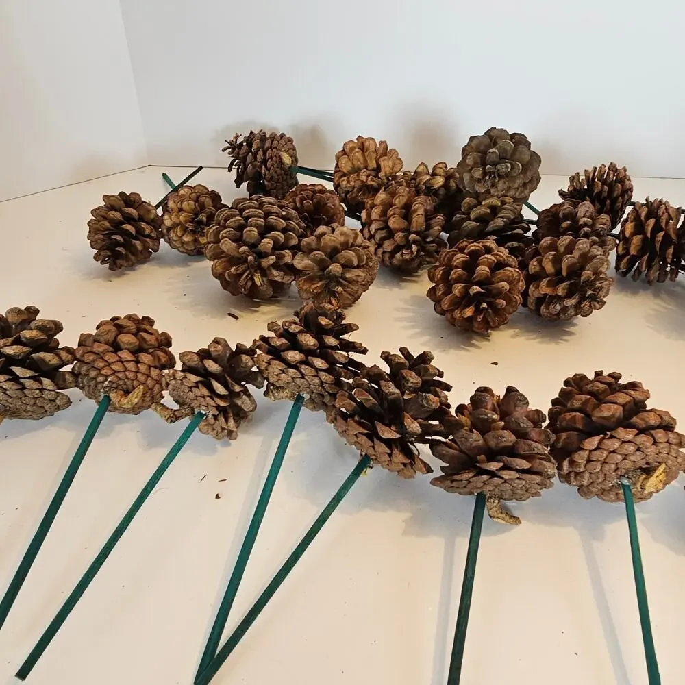 30 Natural Pine Cone Floral Picks 7in Green Wood Stems Wreath Craft Rustic Decor